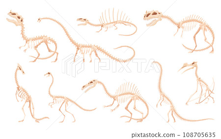 Dinosaur skeleton set. Dino monsters icons. Shape of real animals. Sketch of prehistoric reptiles. Vector illustration isolated on white. Hand drawn sketches 108705635