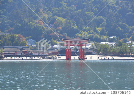 秋季嚴島神社退潮 108706145