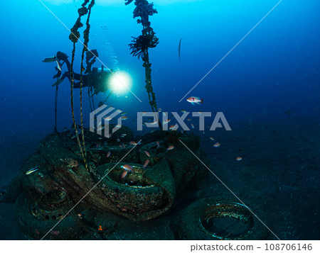 一群魚和潛水員 一群魚和潛水員 108706146