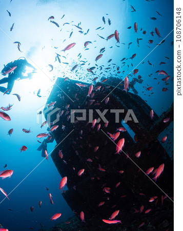 一群魚和潛水員 108706148