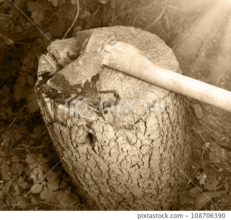 A bloody ax lies on a stump 108706390