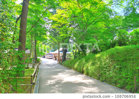 東北、平泉、關山的中尊寺,岩手縣平泉町連接本殿和金色堂的參道景觀 (2) 東北、平泉、關山的中尊寺,岩手縣平泉町連接本殿和金色堂的參道景觀 (2) 108706958