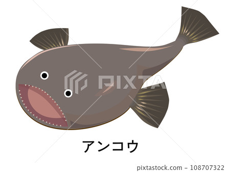 琵琶魚圖 108707322