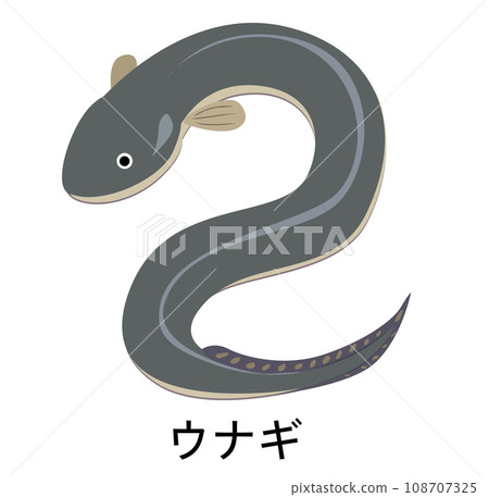 Illustration of eel 108707325