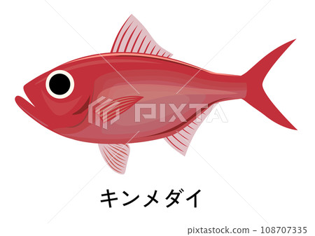 Illustration of Kinmedai Illustration of Kinmedai 108707335