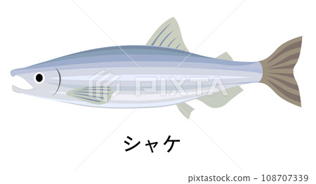 鮭魚的插圖 鮭魚的插圖 108707339