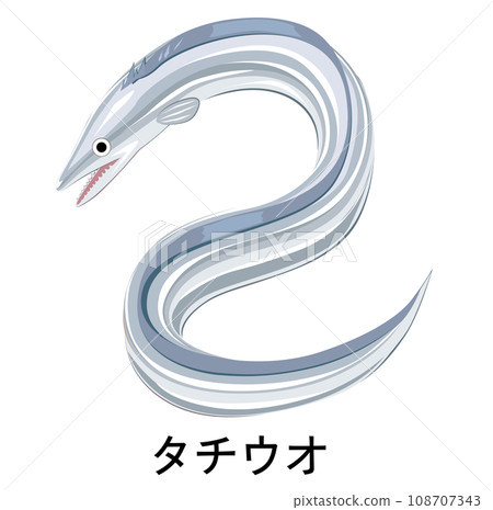 帶魚的插圖 帶魚的插圖 108707343