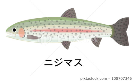 虹鱒魚圖 108707346