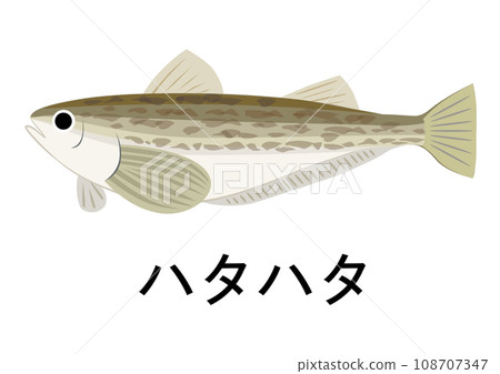 Hatahata illustration 108707347