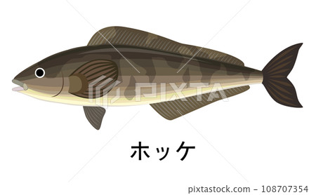 Illustration of hockey 108707354