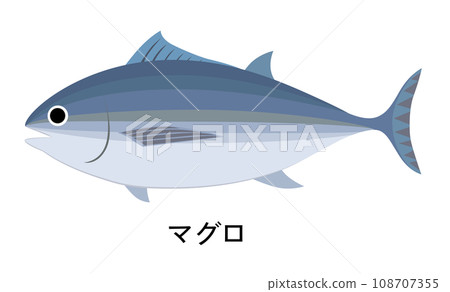 Tuna illustration 108707355