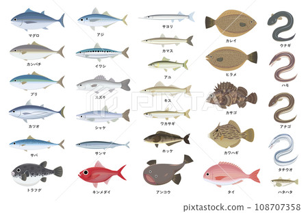典型魚類概要圖 108707358