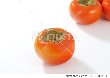 柿子白背 108707431