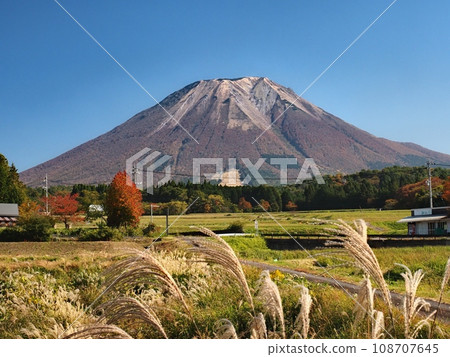 Daisen in autumn seen from the west 108707645