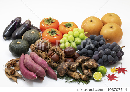 各種秋季風味_栗子_松茸_葡萄_梨子_地瓜_南瓜_茄子等 108707744