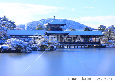 平安神宮西保池的霜（京都市左京區） 108708774