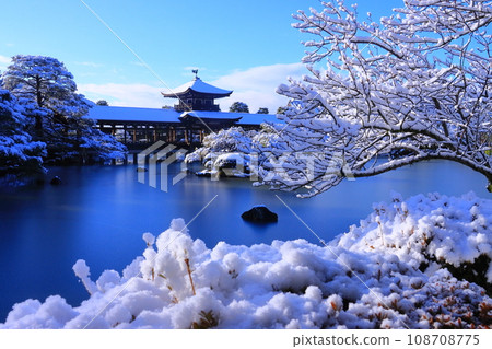 平安神宮西保池的霜(京都市左京區) 平安神宮西保池的霜(京都市左京區) 108708775