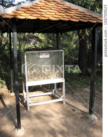 柬埔寨金邊的殺戮場,盒子裡的骨頭。 柬埔寨金邊的殺戮場,盒子裡的骨頭。 108709025