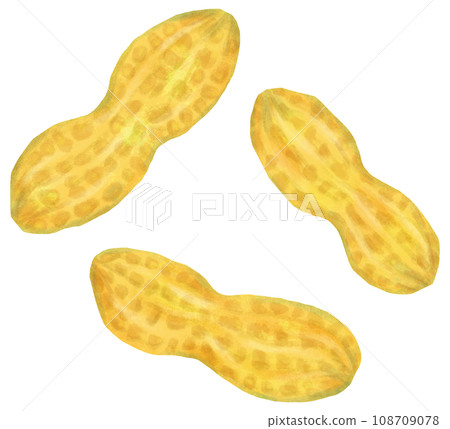 peanuts beans 108709078