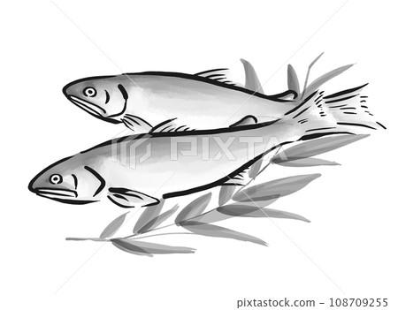 Hand-drawn illustration of sweetfish 108709255