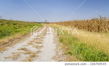 gravel road across Nebraska farmland - Steamboat Trace, bike trail converted from old railroad near Peru, NE 108709545