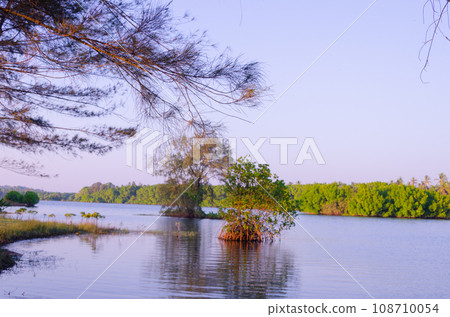 Backwaters at Battapady, near Mangalore Backwaters at Battapady, near Mangalore 108710054
