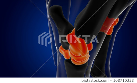 Tarsals bones horse skeleton anatomy for medical concept 3D Illustration 108710338