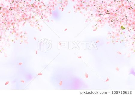 Cute light pink cherry blossom flowers and petals spring watercolor style frame background material illustration 108710638