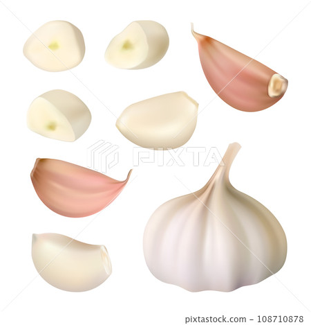 Garlic. Peeled cloves garlic slices decent vector realistic template set Garlic. Peeled cloves garlic slices decent vector realistic template set 108710878