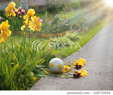 The ball crushed the flowers The ball crushed the flowers 108710958
