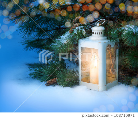 Glowing lantern under fir tree in the forest Glowing lantern under fir tree in the forest 108710971