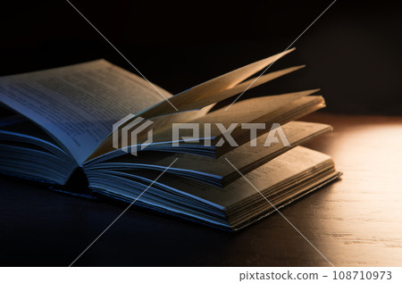 Still life from ancient book 108710973