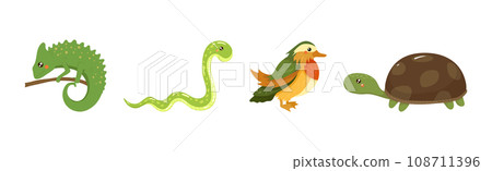 Funny African Animals and Zoo Fauna Vector Set Funny African Animals and Zoo Fauna Vector Set 108711396