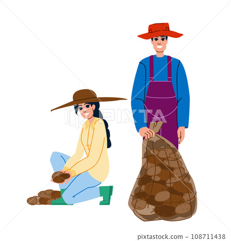 harvesting potatoes vector 108711438