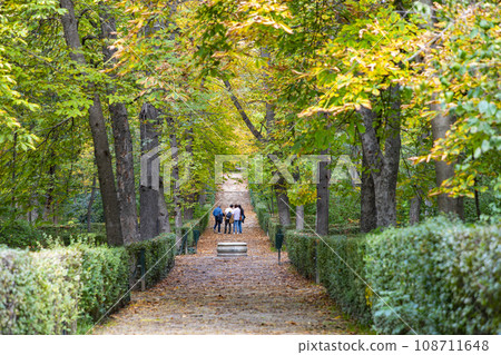 Autumn. Autumn landscape. Autumn colors. Forest route. Orange color tree, red brown maple leaves in autumn city park. Beautiful orange and yellow leaves. Blurry park. Autumn natural background. 2023. Autumn. Autumn landscape. Autumn colors. Forest route. Orange color tree, red brown maple leaves in autumn city park. Beautiful orange and yellow leaves. Blurry park. Autumn natural background. 2023. 108711648