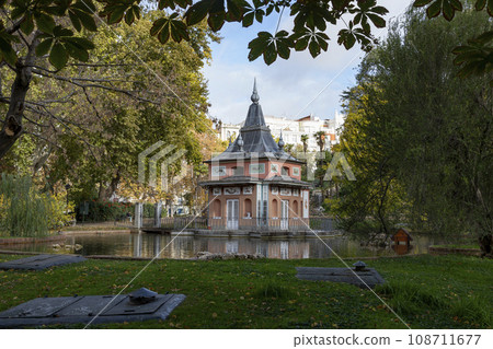 Autumn. Autumn landscape. Autumn colors. Forest route. Orange color tree, red brown maple leaves in autumn city park. Beautiful orange and yellow leaves. Blurry park. Autumn natural background. 2023. 108711677