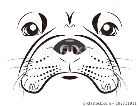 法國鬥牛犬的臉 法國鬥牛犬的臉 108711911