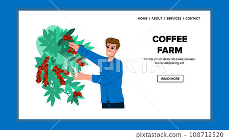 coffee farm vector 108712520