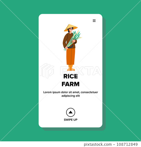 rice farm vector rice farm vector 108712849