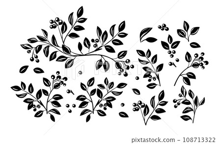 Branch, leaves black silhouettes set. Isolated on white background hand drawn. Not AI . Vector illustration Branch, leaves black silhouettes set. Isolated on white background hand drawn. Not AI . Vector illustration 108713322