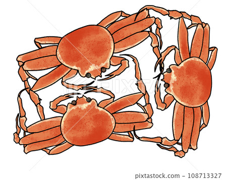 剛放出來的三隻小箱蟹,煮得通紅。 剛放出來的三隻小箱蟹,煮得通紅。 108713327