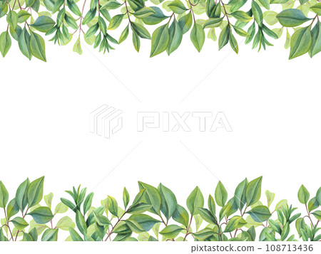 Abstract green leaves. Horizontal frame with branches, green plants. Tea leaves. Herbal rectangle composition. Illustration for Valentines day, birthday, mothers day, greeting, wedding Invitation. Abstract green leaves. Horizontal frame with branches, green plants. Tea leaves. Herbal rectangle composition. Illustration for Valentines day, birthday, mothers day, greeting, wedding Invitation. 108713436