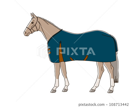 Warm blooded horse dressed in rug Warm blooded horse dressed in rug 108713442
