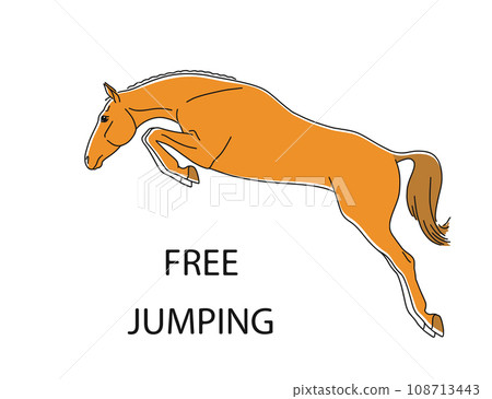 Sport horse jumping of style Sport horse jumping of style 108713443