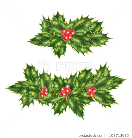 Christmas watercolor holly branches, leaves and berries for New Year illustration, invitations, post cards. banners and frames Christmas watercolor holly branches, leaves and berries for New Year illustration, invitations, post cards. banners and frames 108713683