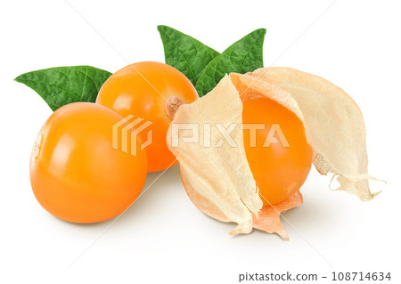 Cape gooseberry or physalis isolated on white background wit full depth of field 108714634