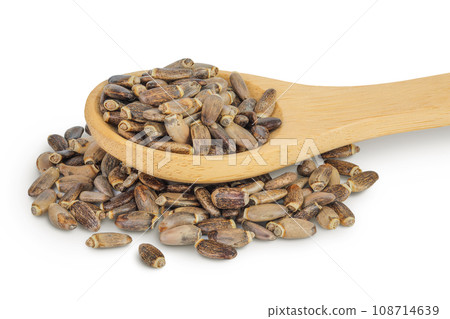 Seeds of a milk thistle or Silybum marianum, Scotch Thistle, Marian thistle in wooden spoon isolated on white background Seeds of a milk thistle or Silybum marianum, Scotch Thistle, Marian thistle in wooden spoon isolated on white background 108714639