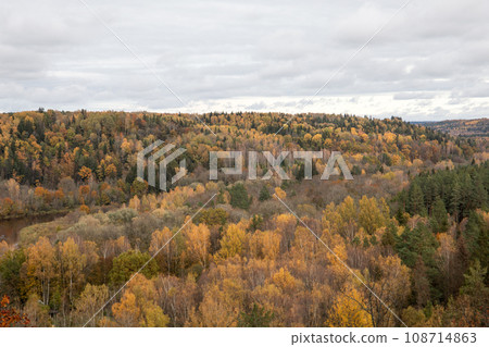 The mountain autumn landscape with colorful forest 108714863