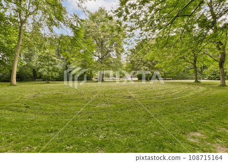 an empty park in the middle of town, with lots of green grass and trees on both sides there is a bright blue sky an empty park in the middle of town, with lots of green grass and trees on both sides there is a bright blue sky 108715164