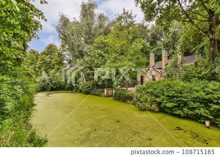 an outdoor area with green algae and trees in the fore - image is taken from google's street view an outdoor area with green algae and trees in the fore - image is taken from google's street view 108715165